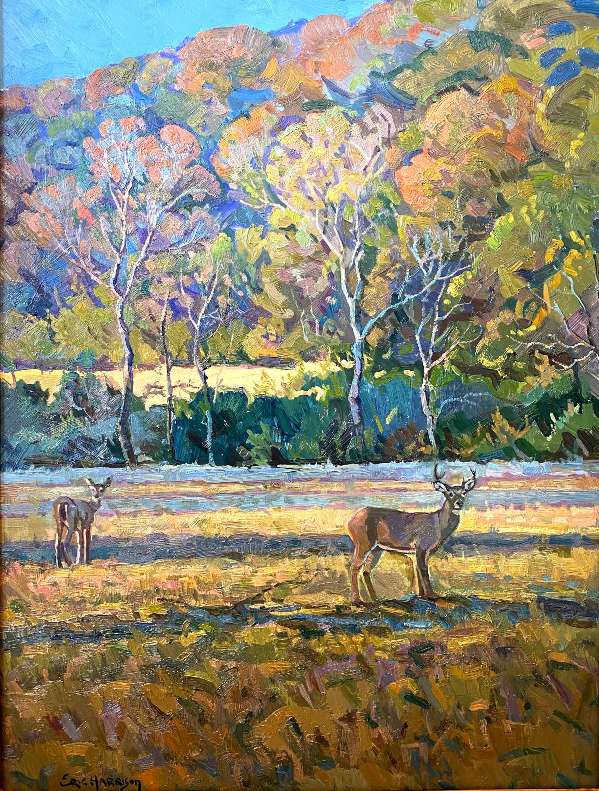 Eric Harrison Animal Painting - "HIRSCH IN HERBSTFARBEN" DEER IN FALL COLORS.  WHITE TAIL TEXAS HILL COUNTRY