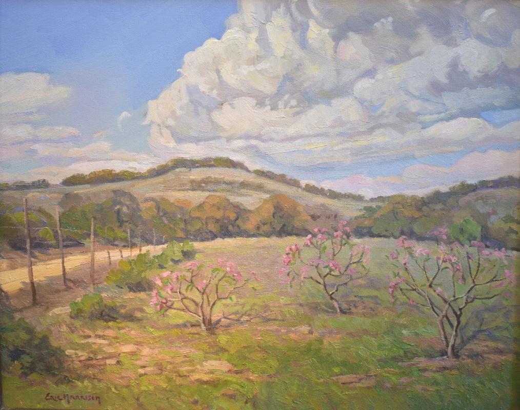 Eric Harrison Landscape Painting - "Orchard in March" Texas Hillcountry Landscape