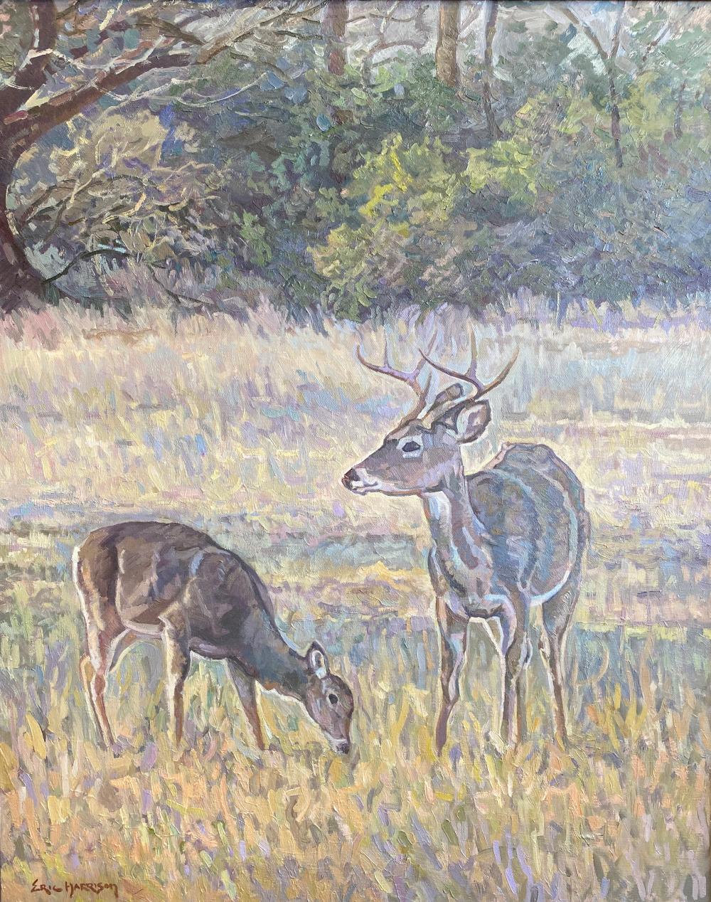 „REHE IM MORGENLICHT“ DEER IN MORNING LIGHT ERIC HARRISON FRAMED 36 X 30 – Painting von Eric Harrison