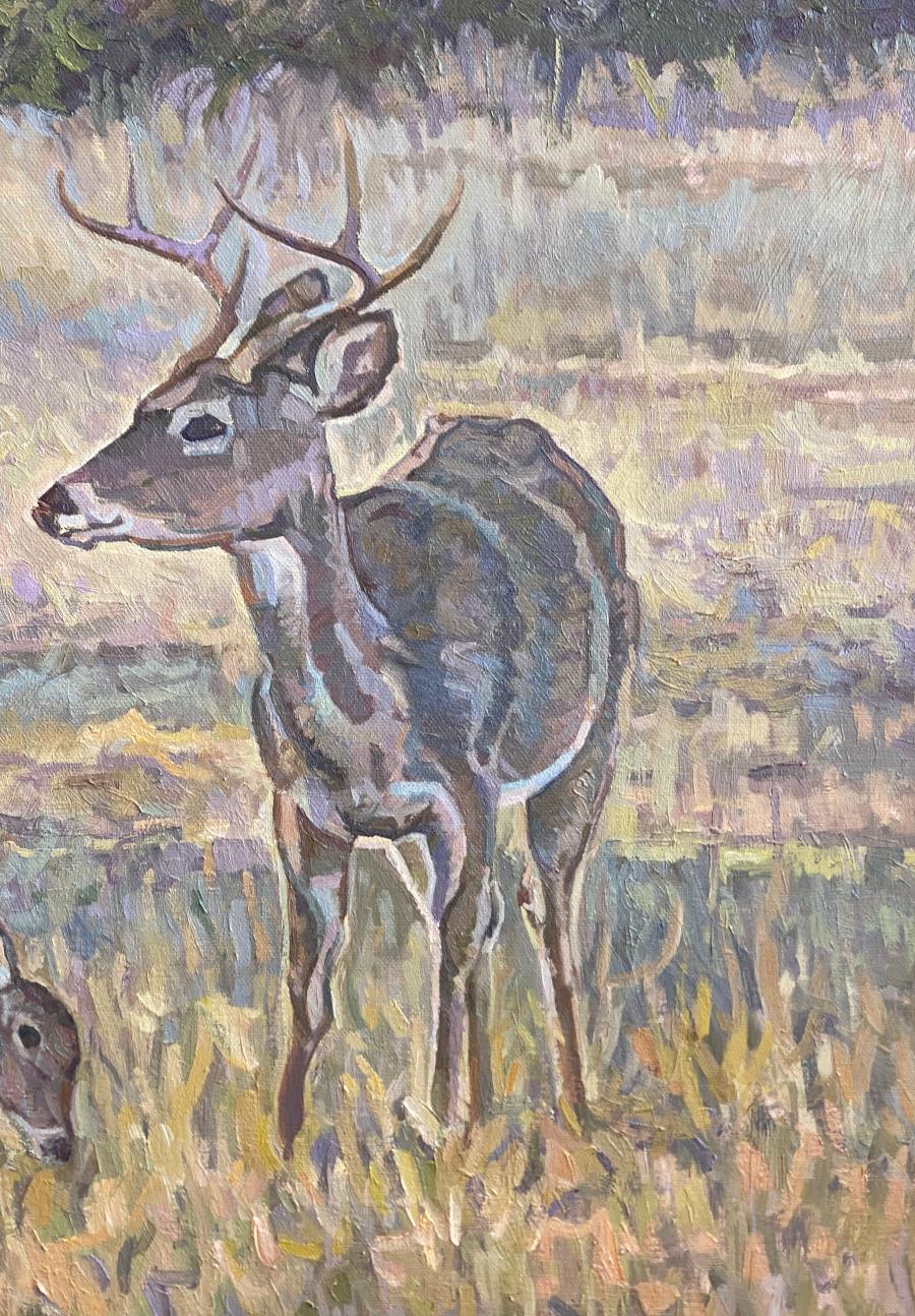 „REHE IM MORGENLICHT“ DEER IN MORNING LIGHT ERIC HARRISON FRAMED 36 X 30 (Impressionismus), Painting, von Eric Harrison
