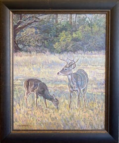 "REHE IM MORGENLICHT" DEER IN MORNING LIGHT ERIC HARRISON FRAMED 36 X 30