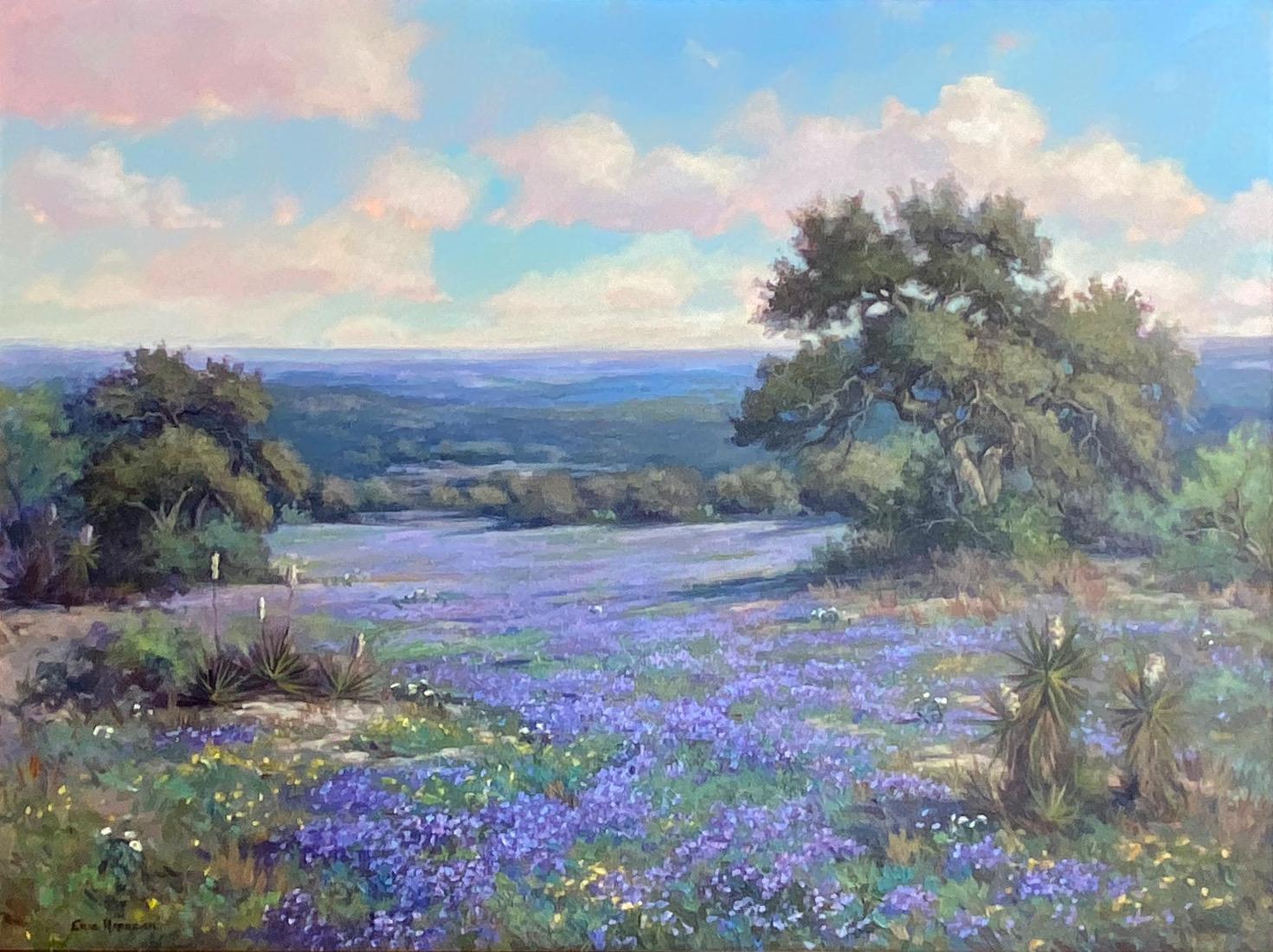 "VERBENA SPRING"  TEXAS HILL COUNTRY WILDFLOWERS LANDSCAPE MAGNIFICENT