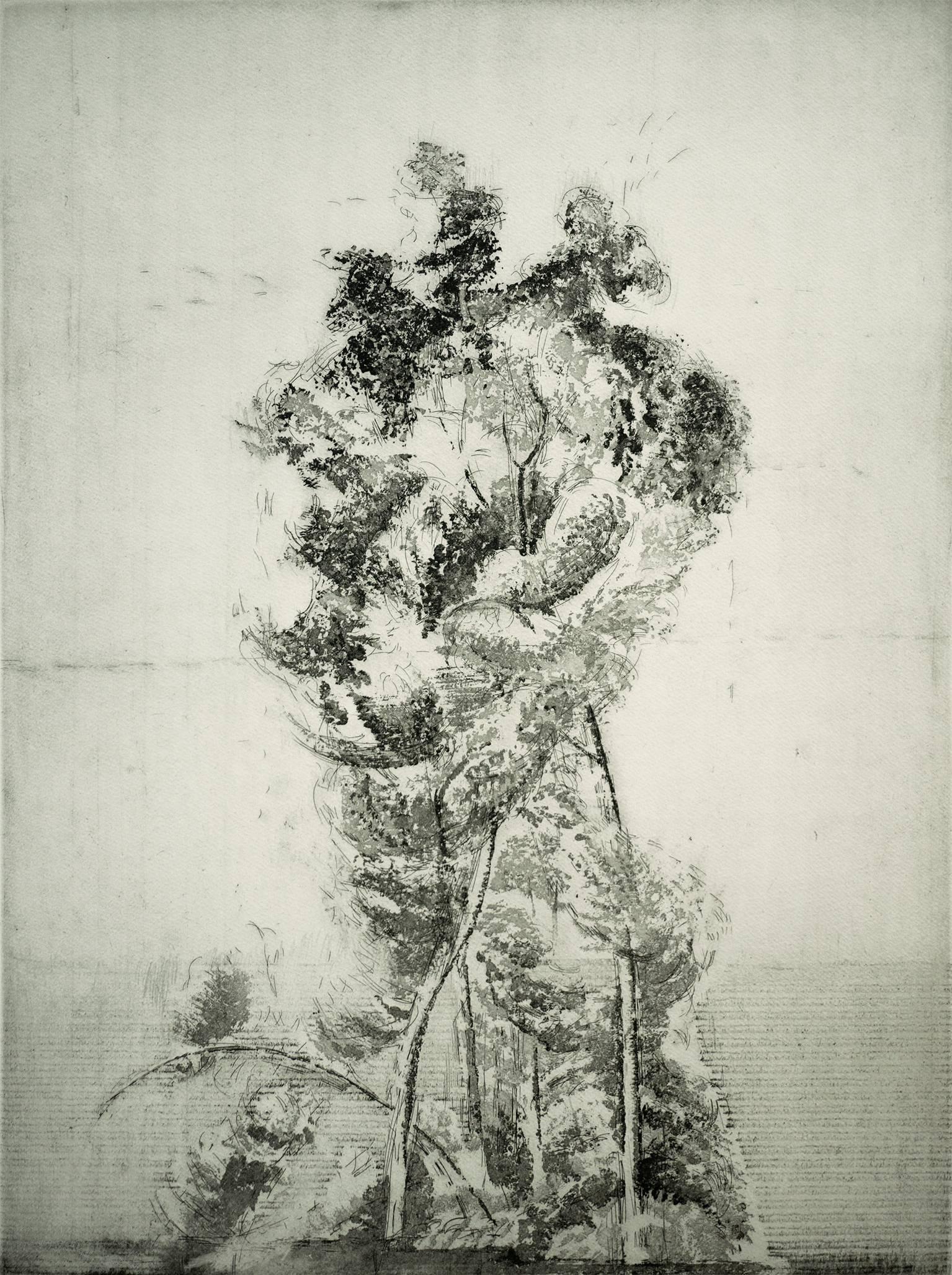 Eric Holzman Landscape Print - "Alberone", modernist landscape etching tree print, warm black and white.