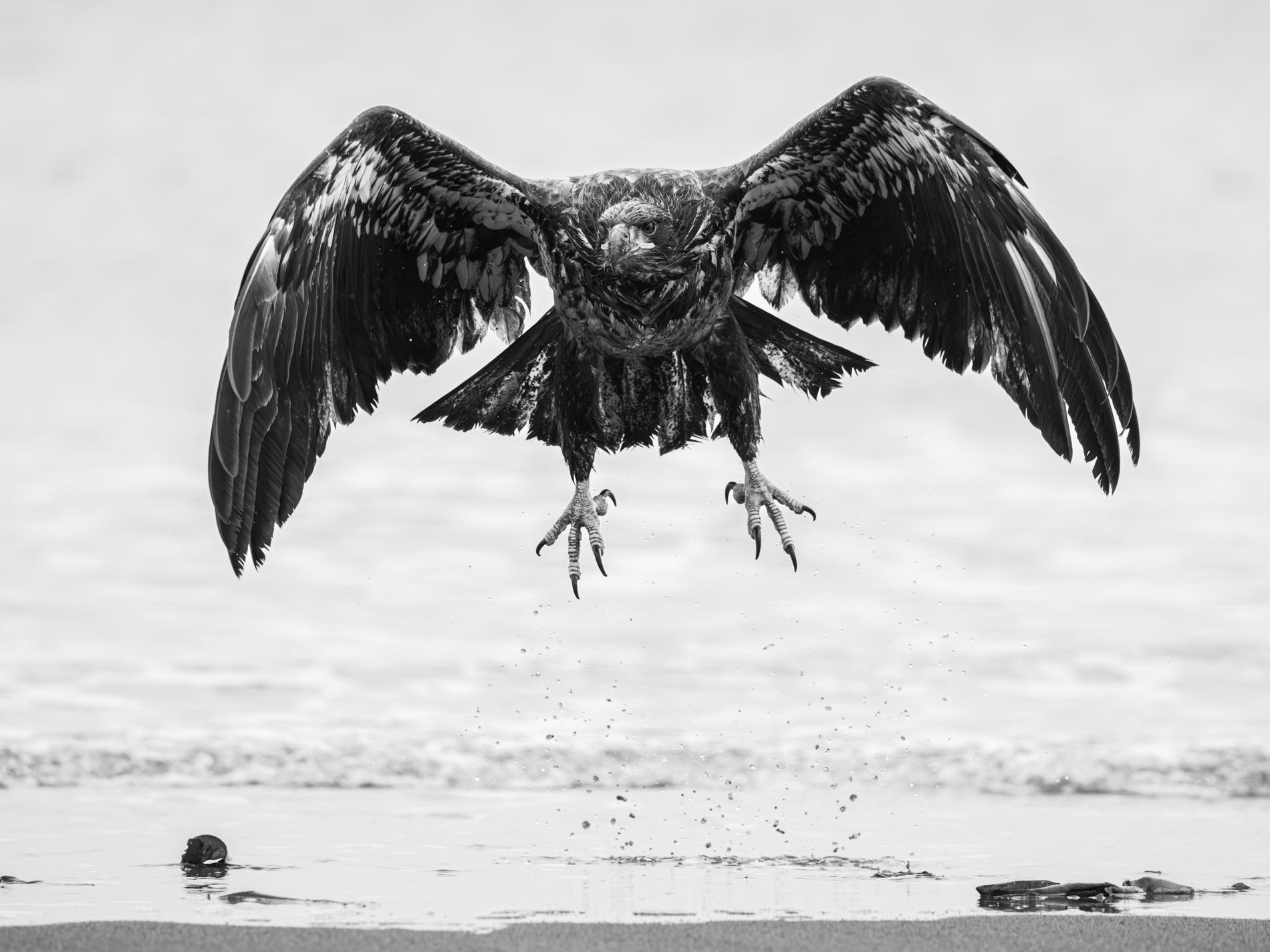 Eric Kanigan - Rompiendo la calva, Fotografía 2022, Impreso después de