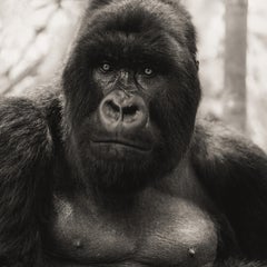 Eric Kanigan - Enforcer, Photography 2021, Printed After
