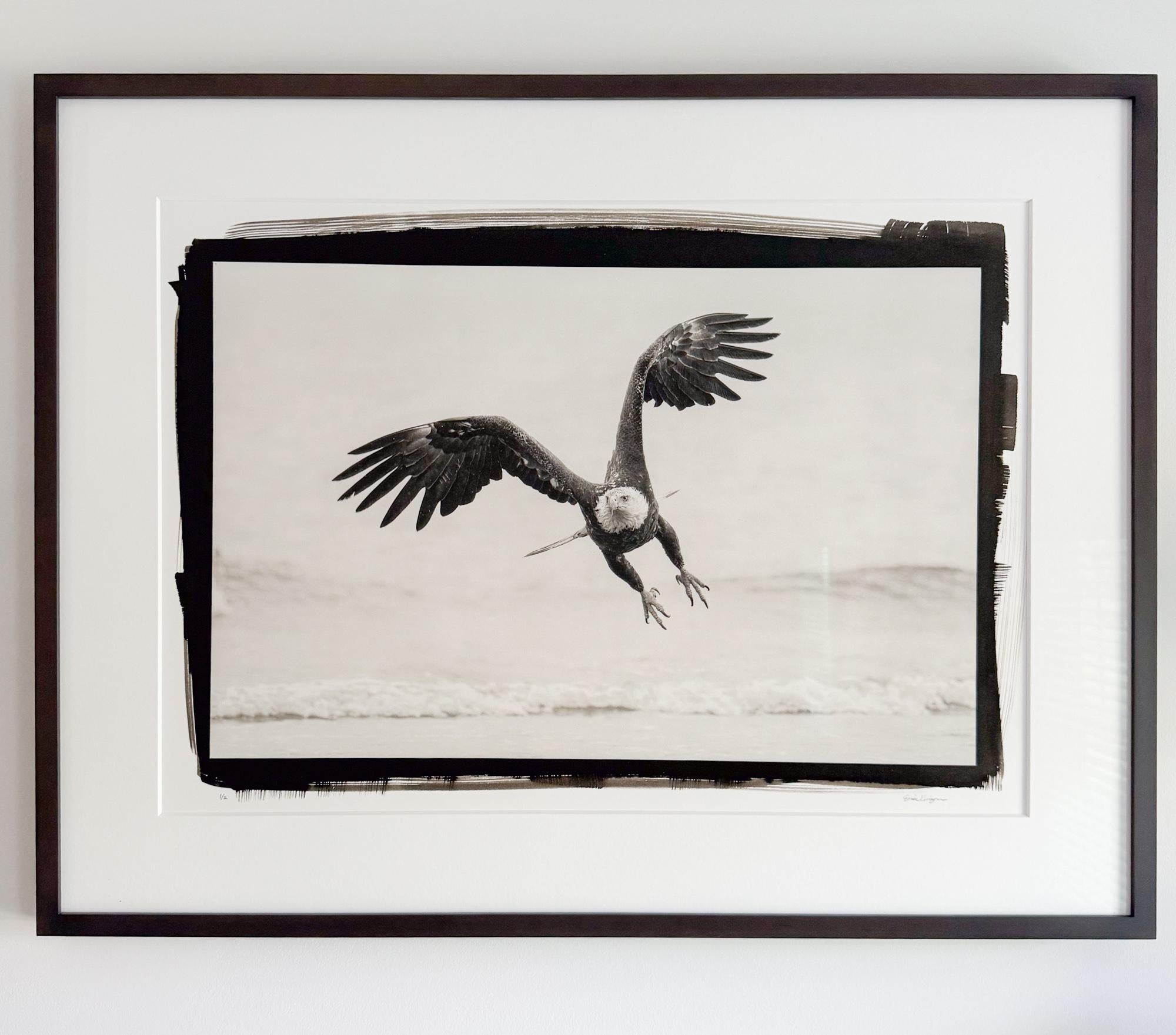 Erica Kanigan - Oiseau libre, Photographie 2022, Imprimé d'après - Gris Black and White Photograph par Eric Kanigan