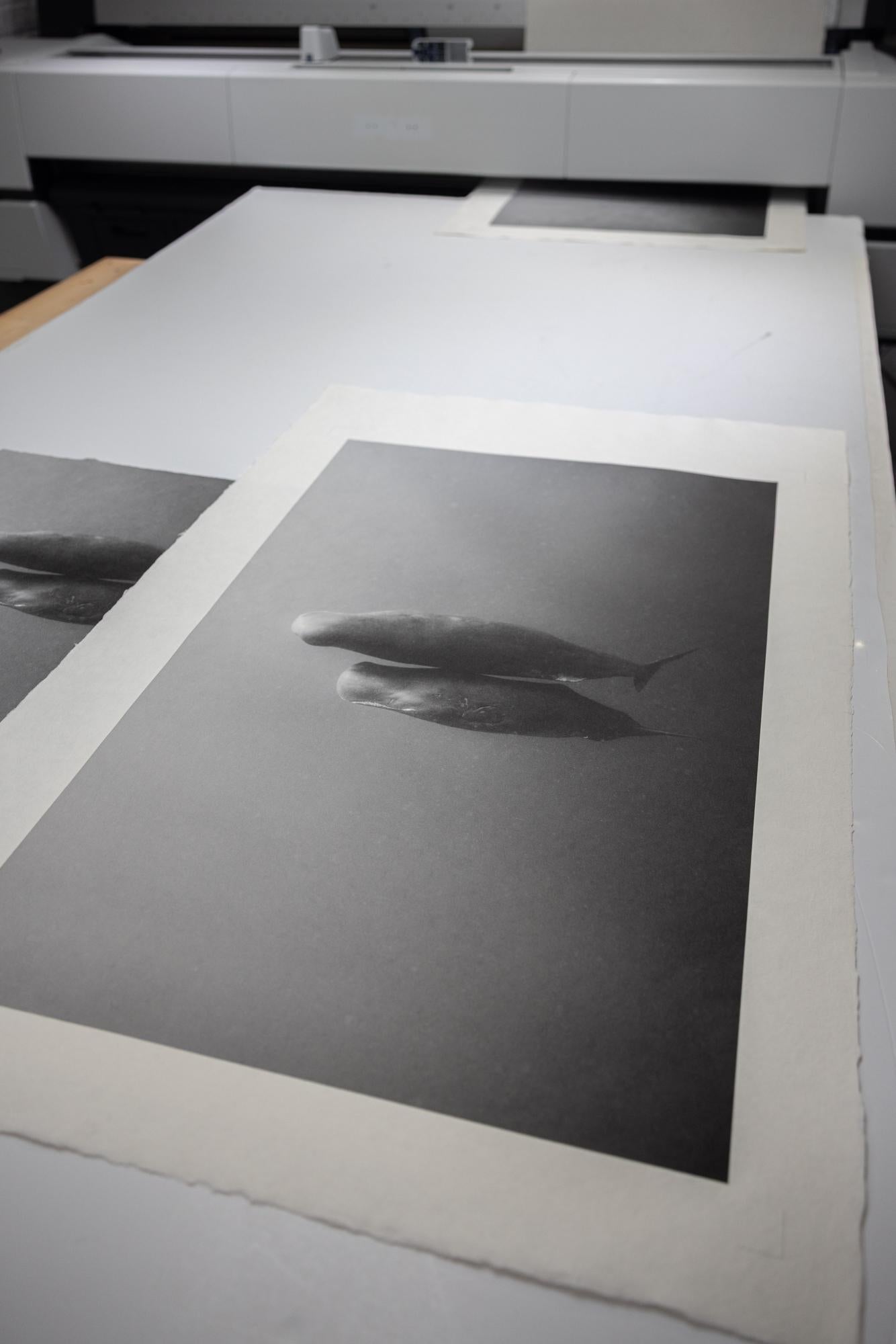 Eric Kanigan - How Deep is Your Love, Photography 2023, Printed After For Sale 1