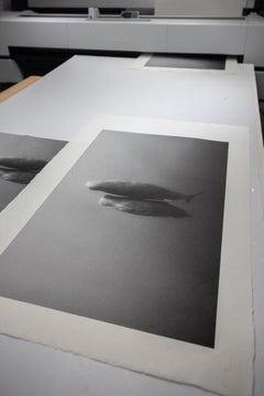 Eric Kanigan - How Deep is Your Love, Photography 2023, Printed After