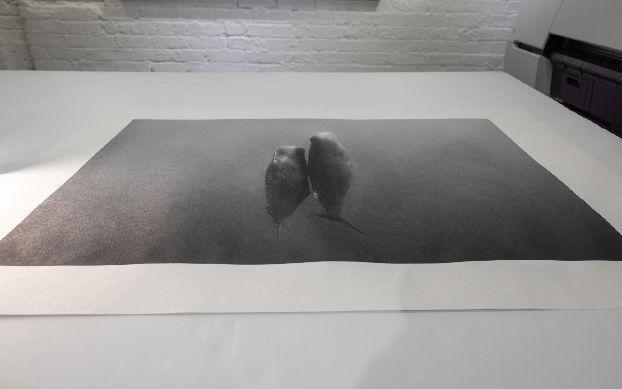 Eric Kanigan - How Deep is Your Love, Photography 2023, Printed After For Sale 3