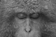 Eric Kanigan - Interlude, Photography 2025, Printed After