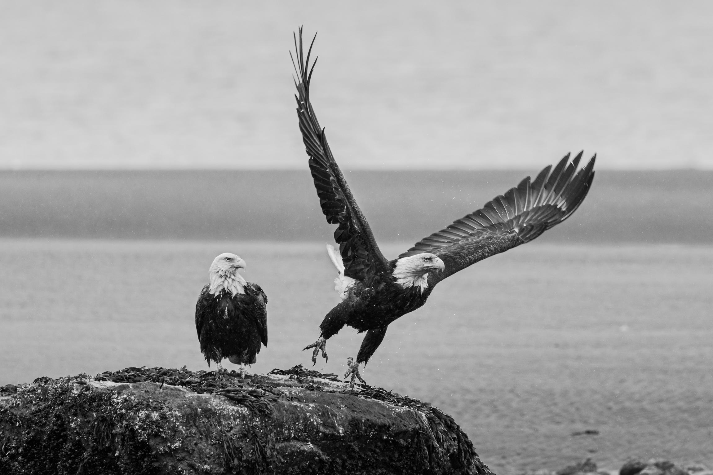 Eric Kanigan - It
s Not Me, It
s You, Photography 2022, Printed After