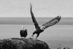 Eric Kanigan - Non sono io, sei tu, Fotografia 2022, Stampato dopo