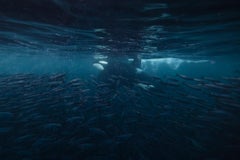 Eric Kanigan - Last Rites, Photography 2023, Printed After