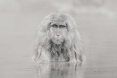 Eric Kanigan - Chamán BW, Fotografía 2023, Impreso después de
