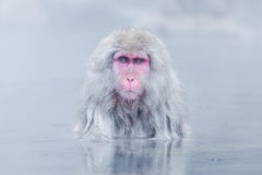 Eric Kanigan - Shaman, Photography 2023, Printed After