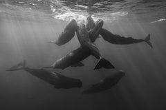 Eric Kanigan - Social Hour, Fotografie 2022, Nachgedruckt