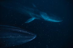 Eric Kanigan - Starcruisers, Photographie 2023, Imprimé d
après