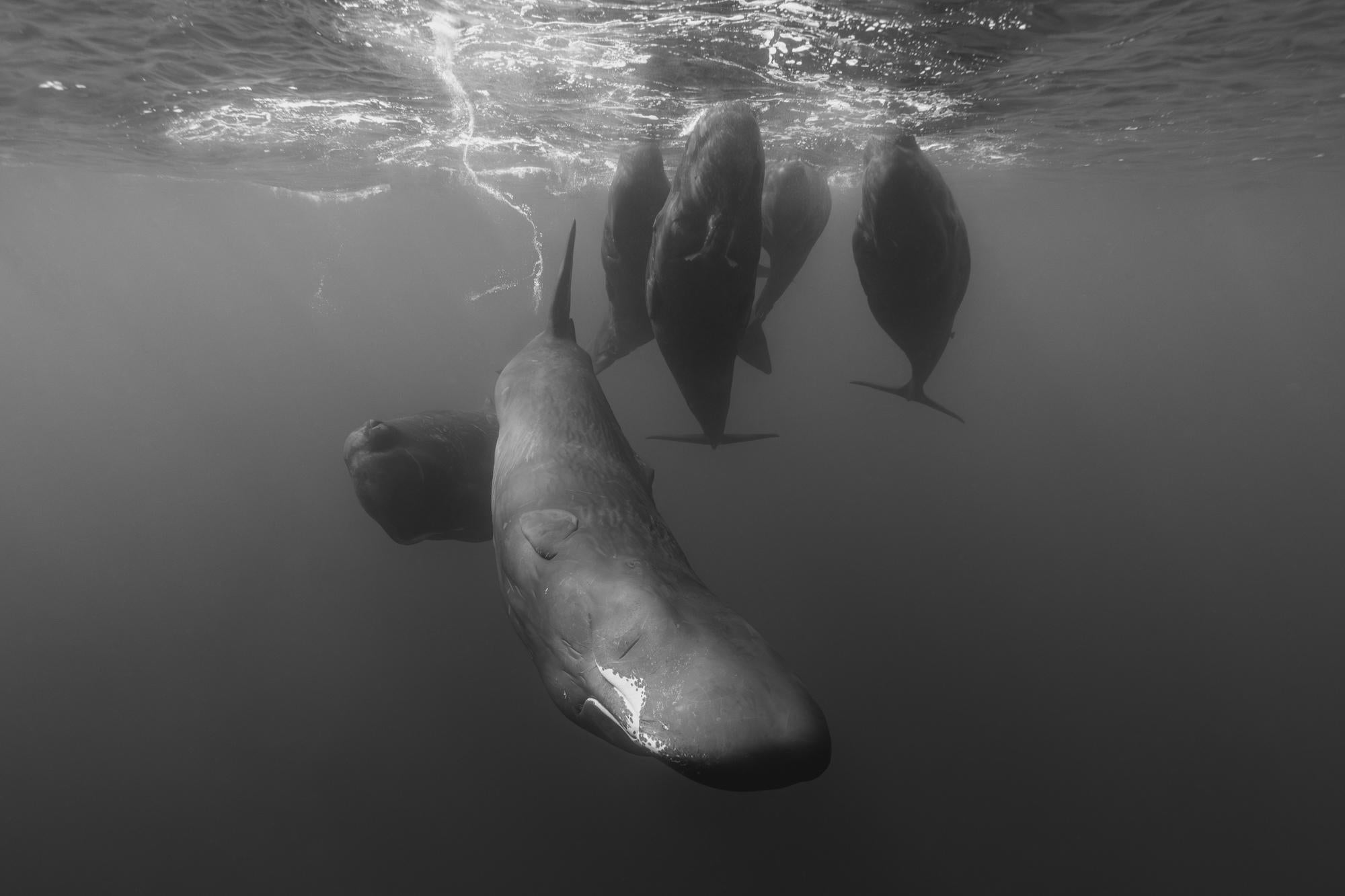 Eric Kanigan - Think Tank, Fotografía 2022, Impreso después de