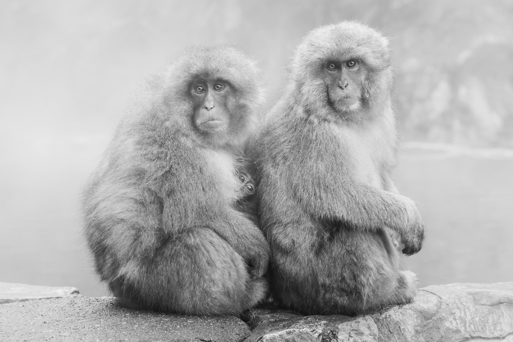 Eric Kanigan - Three's Company, Photography 2022, Printed After