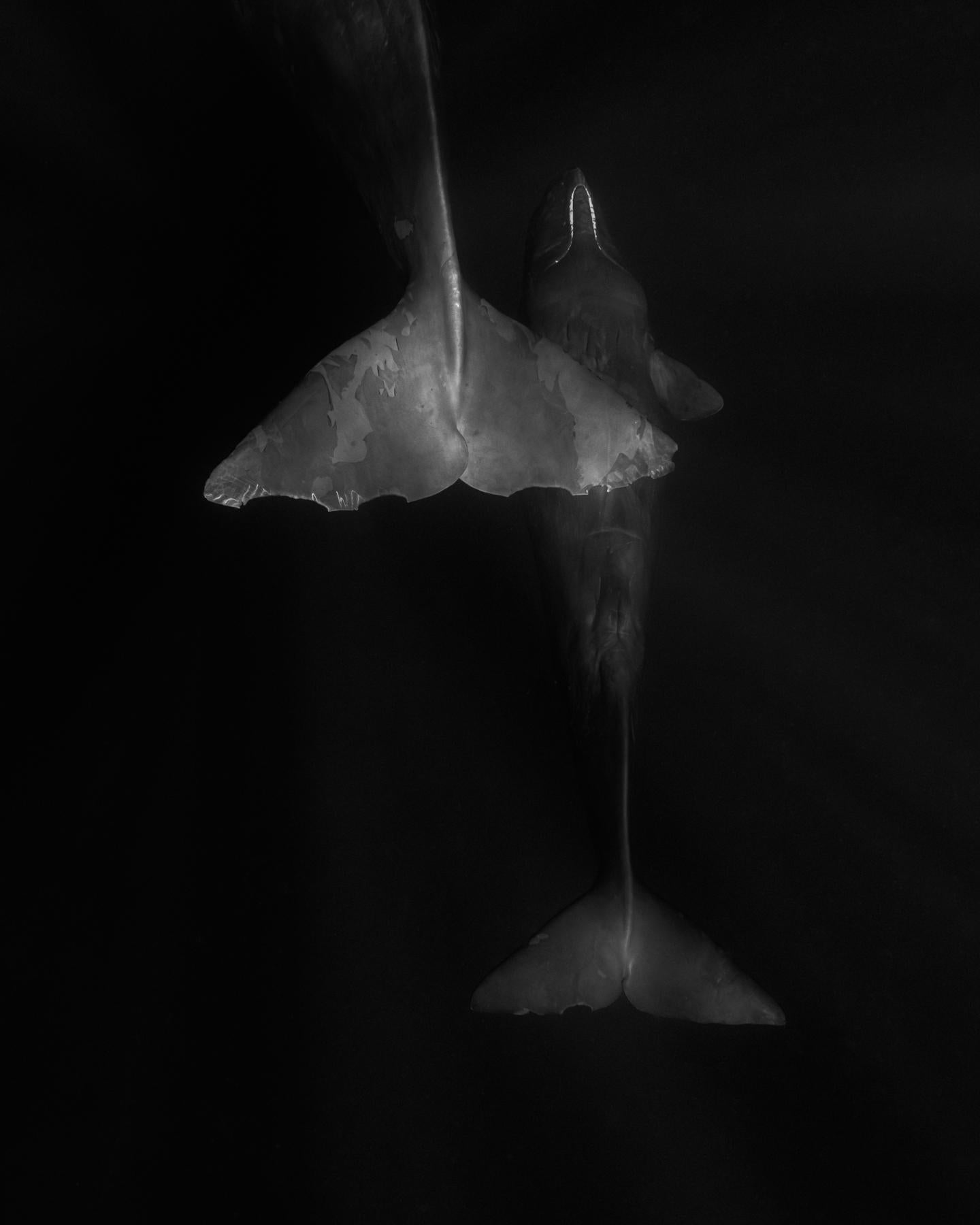 Figurative Photograph Eric Kanigan - Erica Kanigan - Diners, Darkness, and Dives, Photographie 2023, Printed After