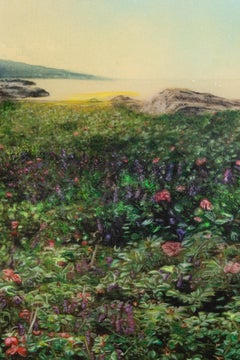 Parfum d'églantiers salés