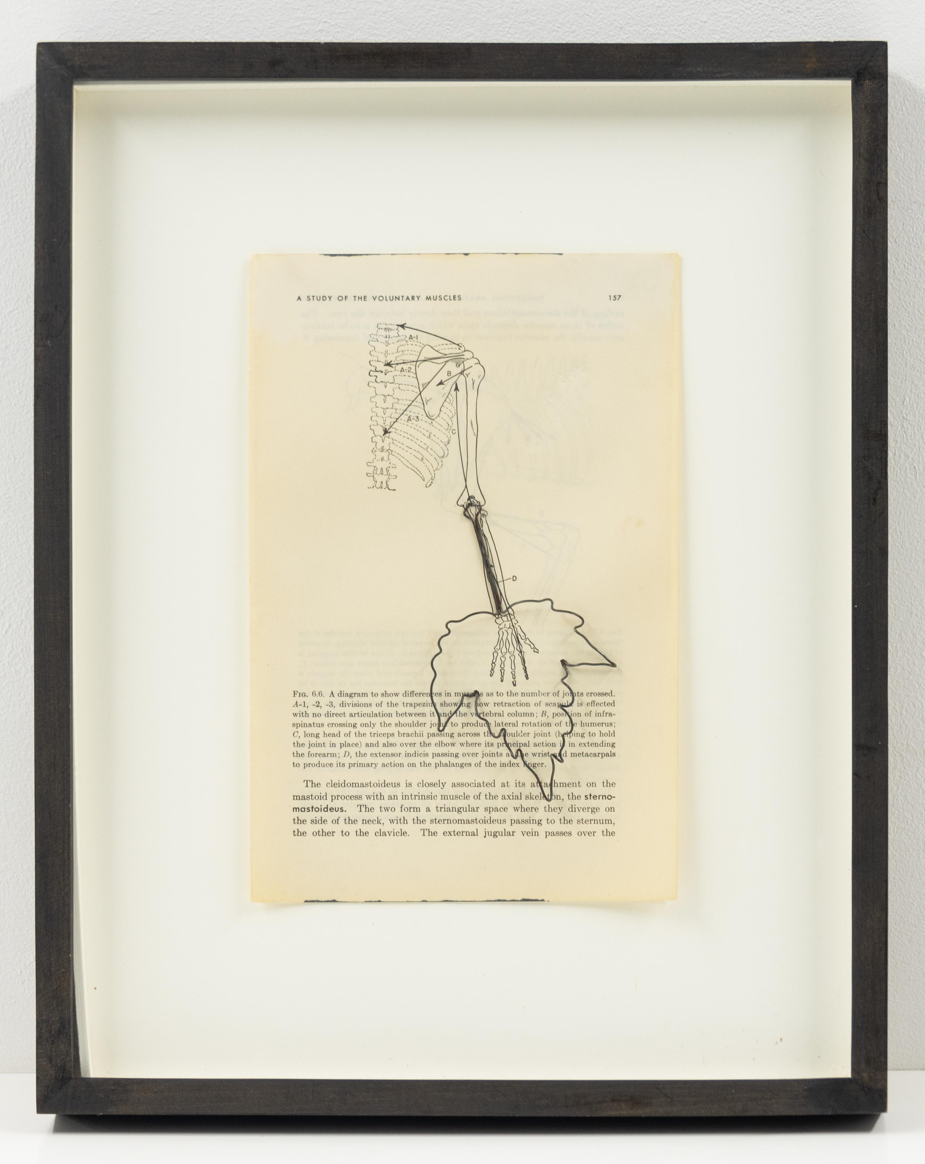 Fig 6.6, Pagine mediche, opera d'arte contemporanea a tecnica mista - Sculpture Contemporaneo di Eric Rhein