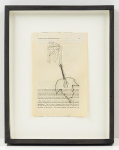Fig 6.6, Pages médicales, œuvre d'art mixte contemporaine