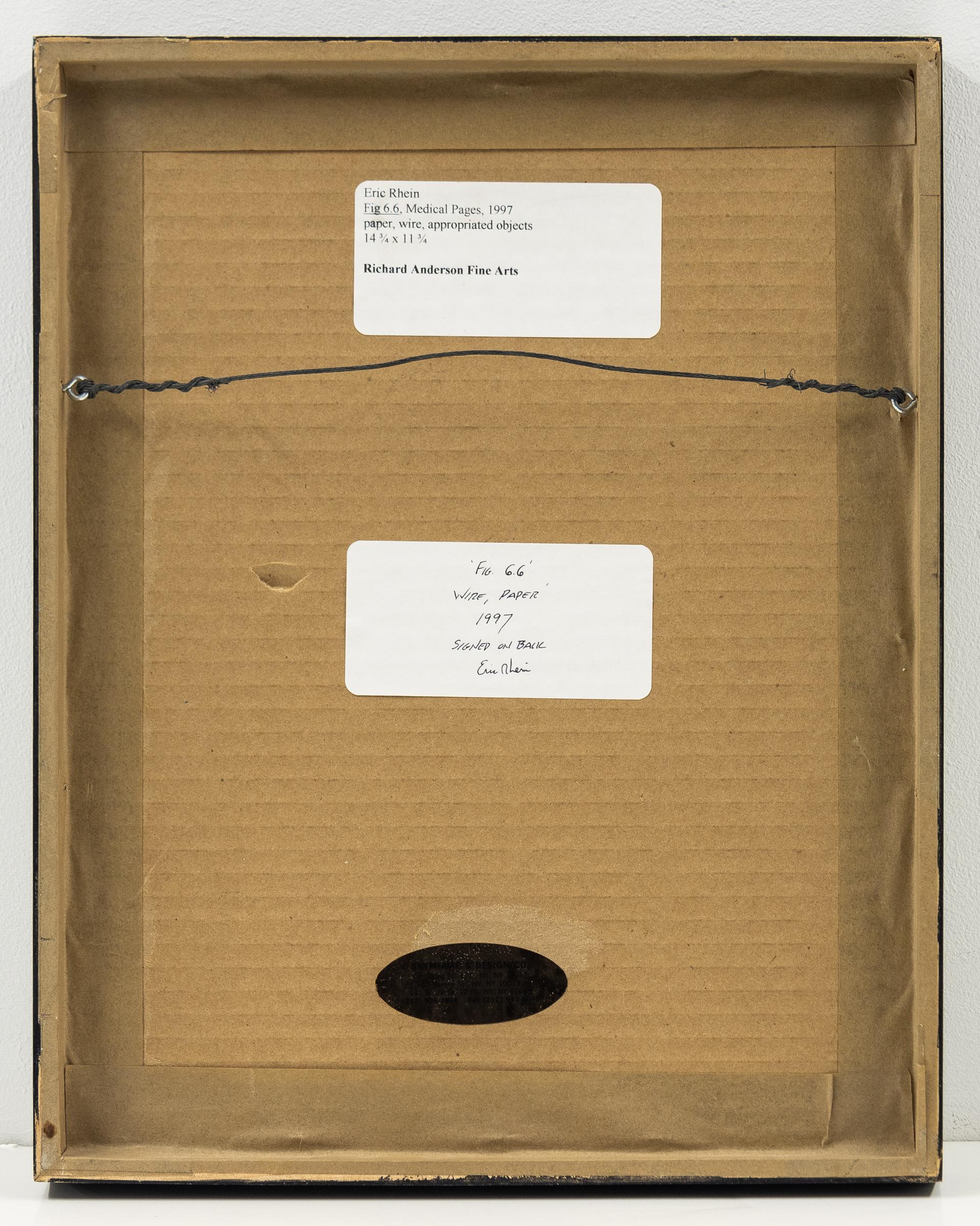 Fig 6.6, Pagine mediche, opera d'arte contemporanea a tecnica mista in vendita 1