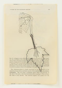 Fig 6.6, Páginas médicas, obra de arte contemporánea en técnica mixta