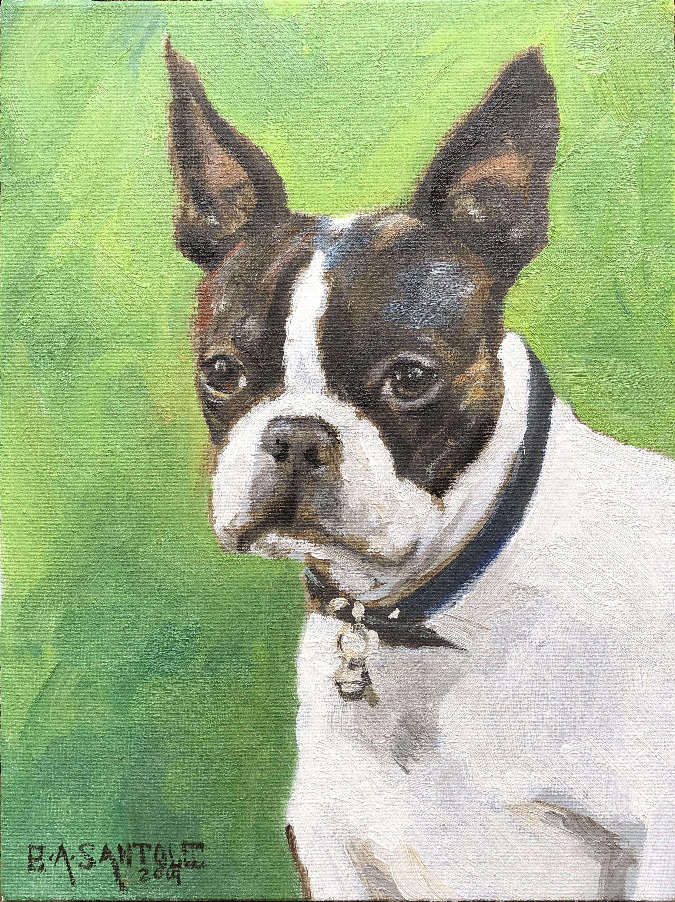 Bostoner Terrier, Gemälde, Öl auf Leinwand – Painting von  Eric Santoli