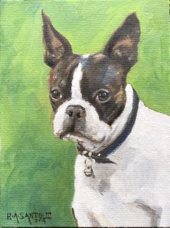 Boston Terrier, Painting, Oil on Canvas