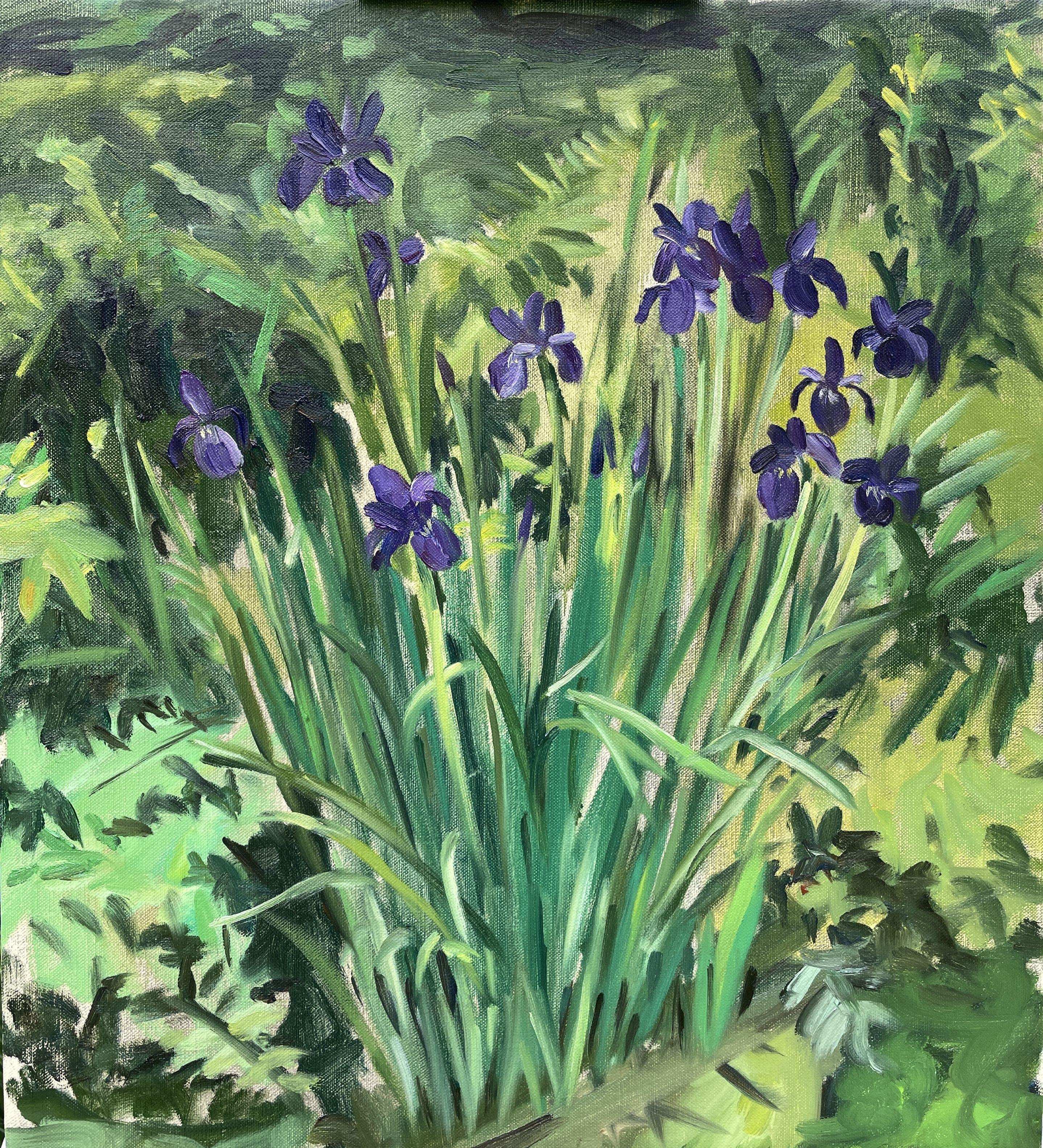 This original oil painting was painted en plein air (outdoors) by Eric Alexander Santoli.  It was painted in the Van Vleck gardens of Montclair, N.J.  The color and vibrant brush strokes capture the summer light hitting a patch of growing irises. ::