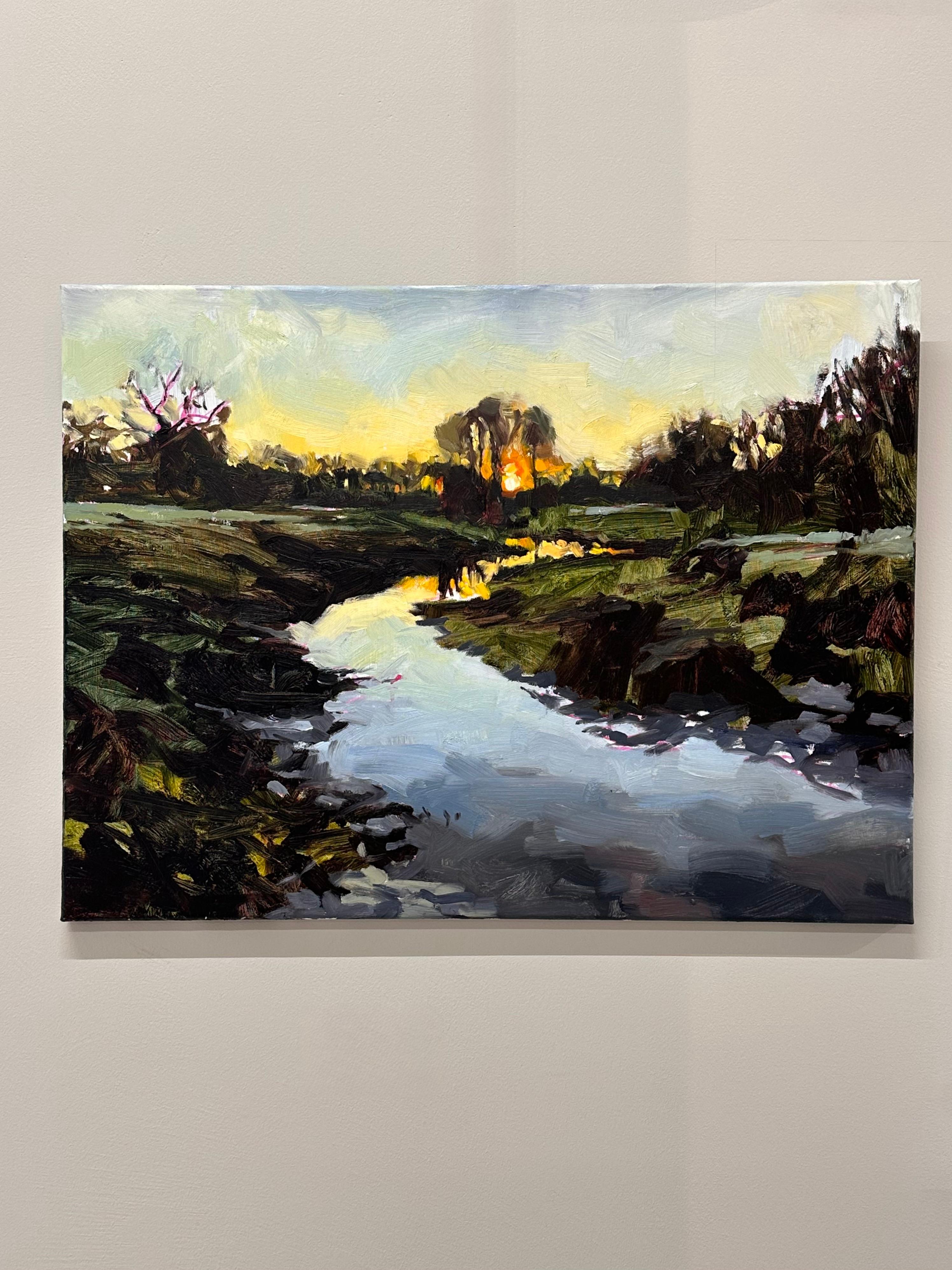 Biotop - Zeitgenössische holländische Polderlandschaft bei Sonnenuntergang des 21. – Painting von Eric Schutte