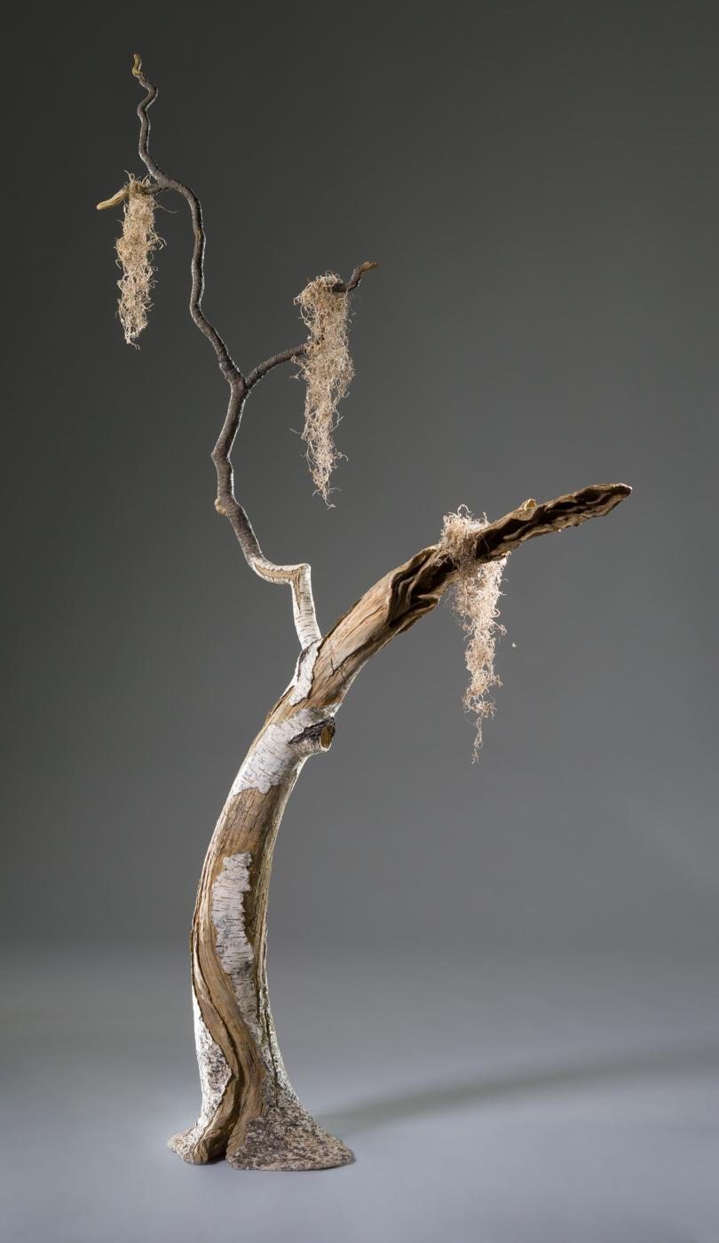 Eric Serritella Still-Life Sculpture - Southern Birch