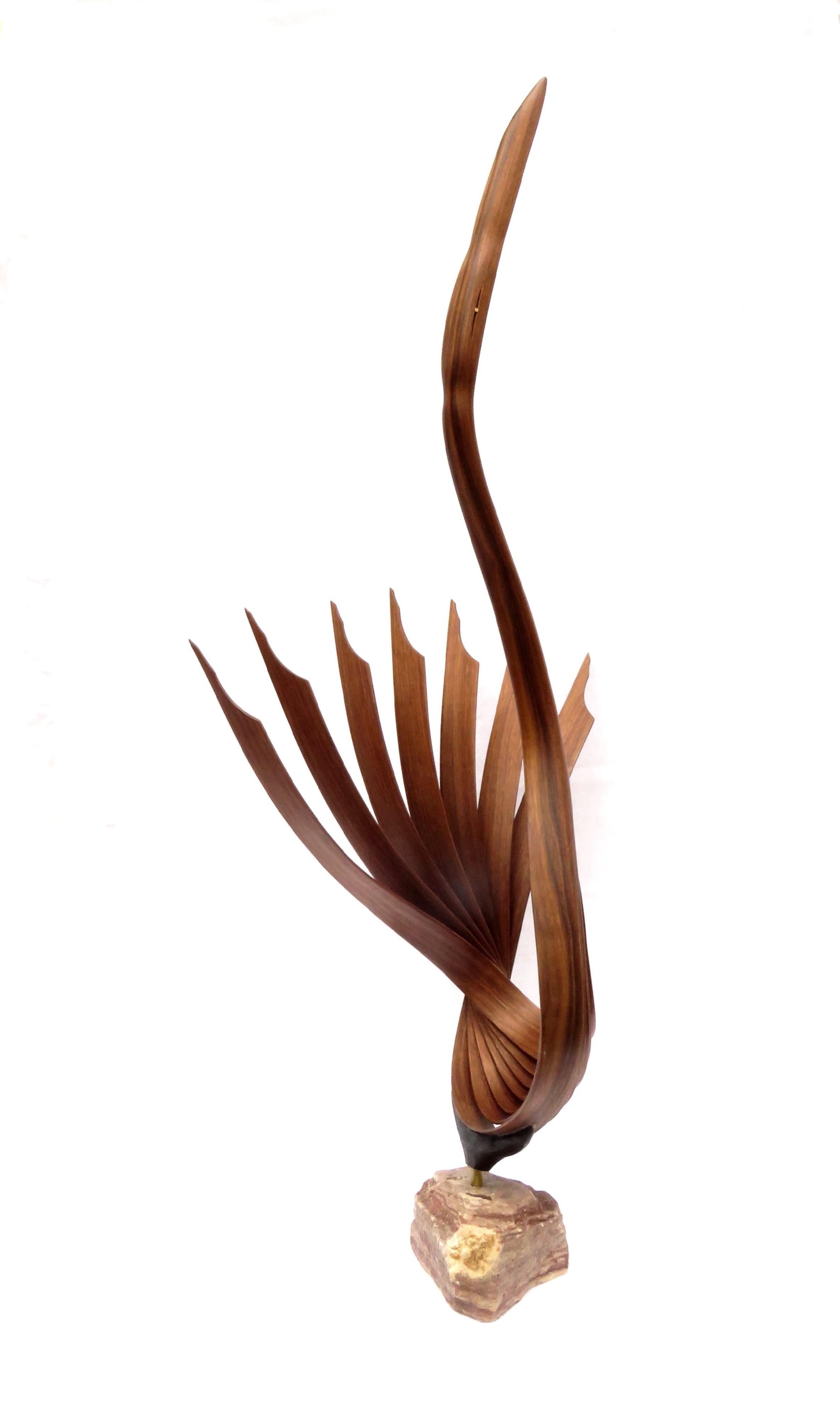 Eric Tardif Abstract Sculpture - Towards the sky (walnut wood bird abstract art zen sculpture pedestal minimal)