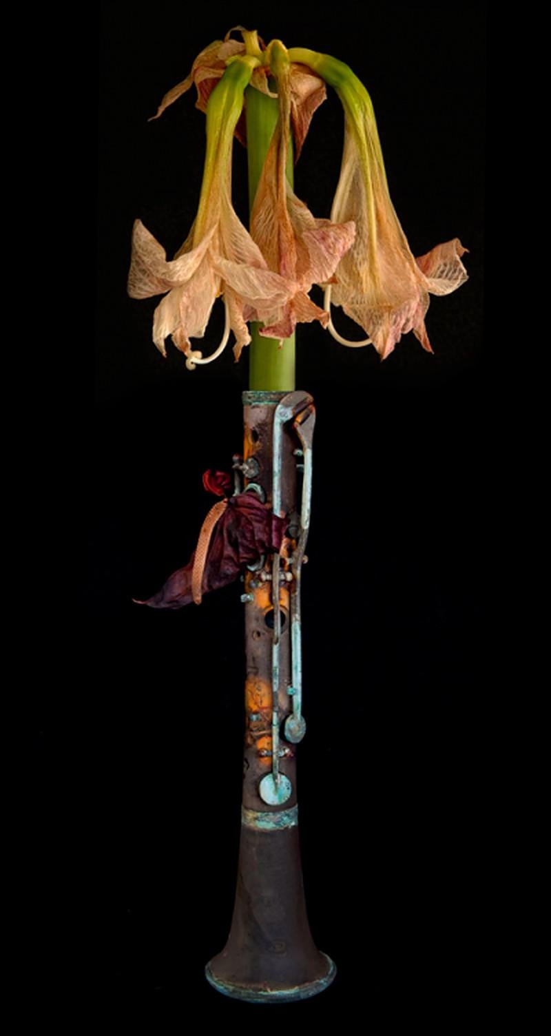 Eric WATERS Figurative Photograph -  Instrument, 2009 
