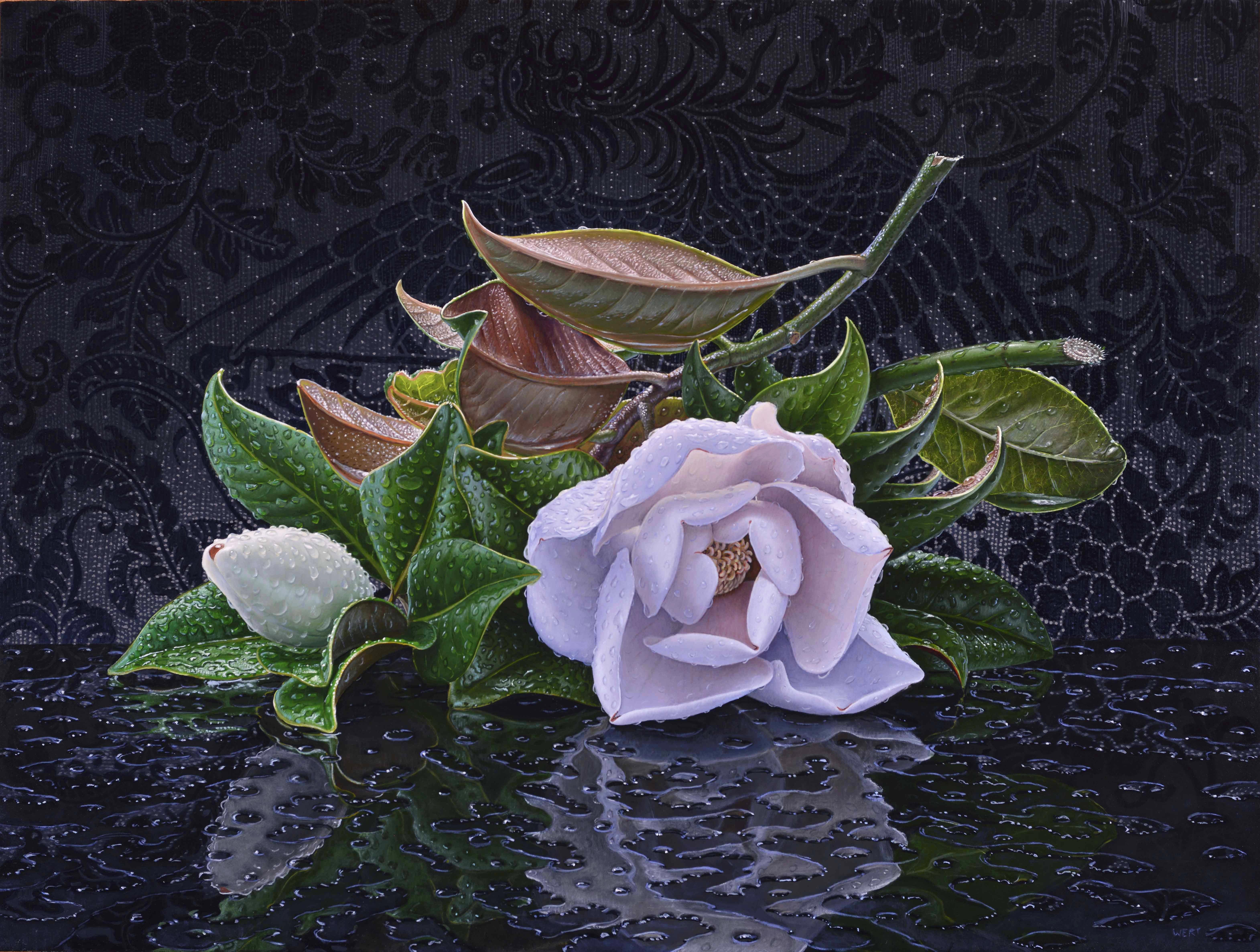 Eric Wert Still-Life Painting - MAGNOLIA - Contemporary Floral Still life / Hyper-Realism