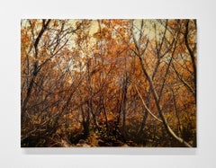 RED GROVE - Realism / Mixed Media / Landscape