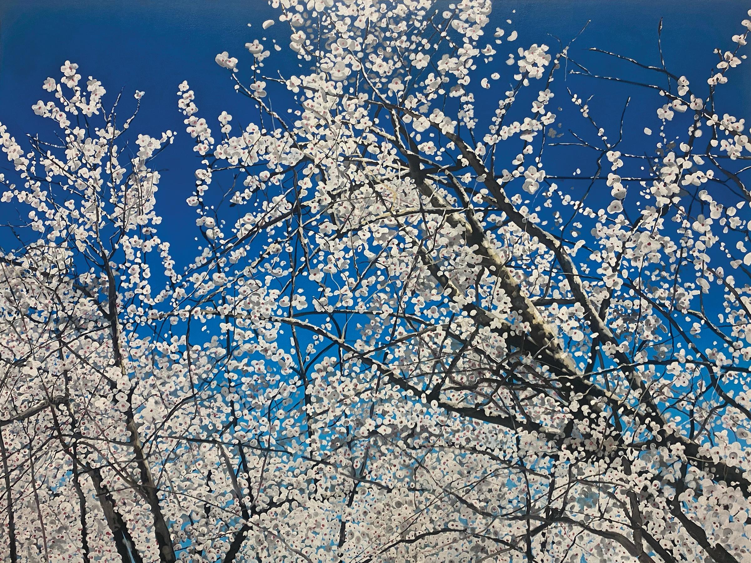 Eric Zener Landscape Painting - BLOSSOM - Contemporary Realism/ Spring / Cherry Blossoms