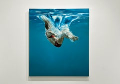 ENVELOP - Contemporary Figurative Realism / Swimmer / Diver / Water