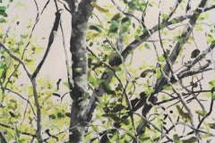 REJOINING, photo-realism, landscape, dense forest, grey sky, green, vivid color