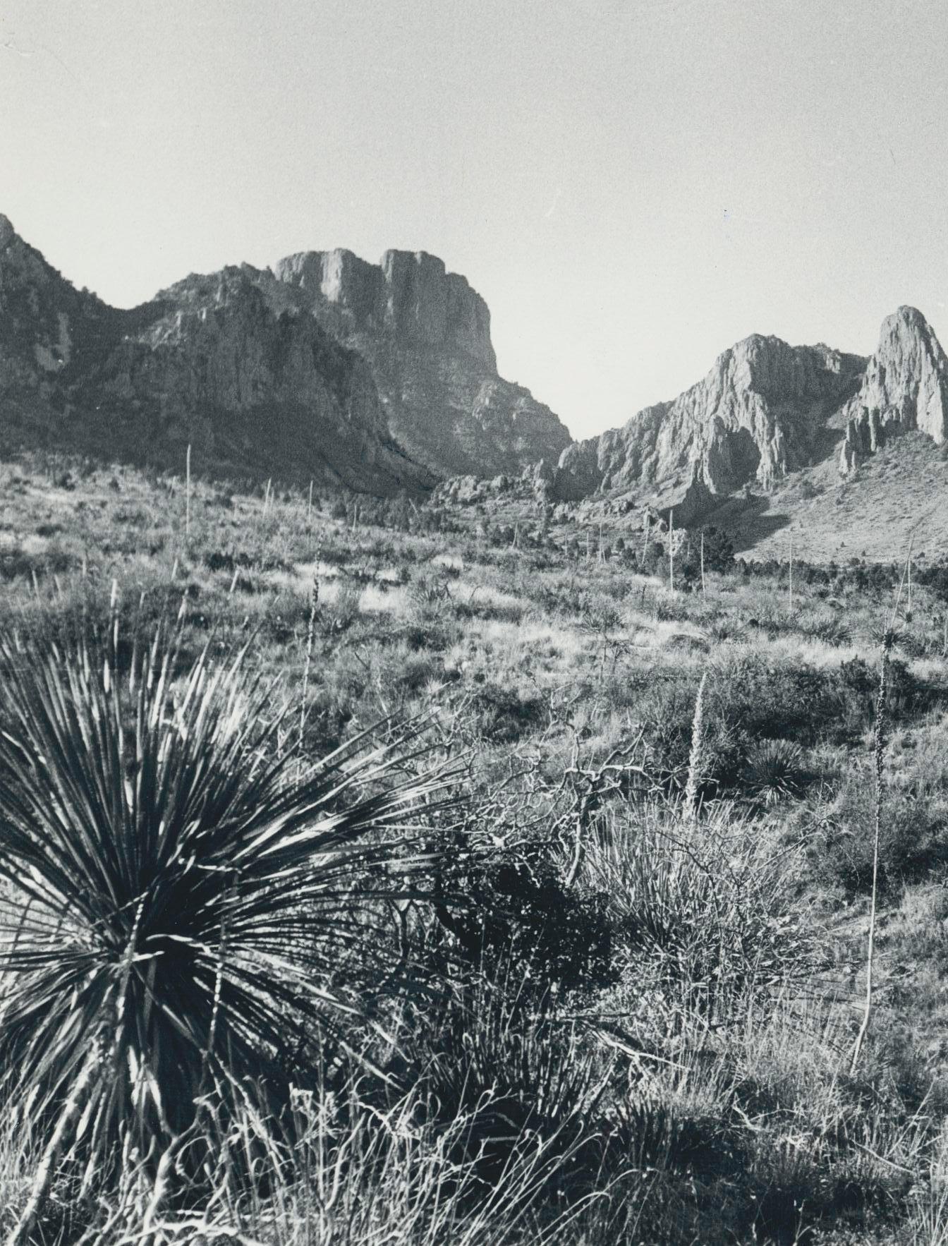 Big Bend Nationalpark, Texas, Black and White, USA 1960s, 16, 5 x 23, 2 cm - Photograph by Erich Andres