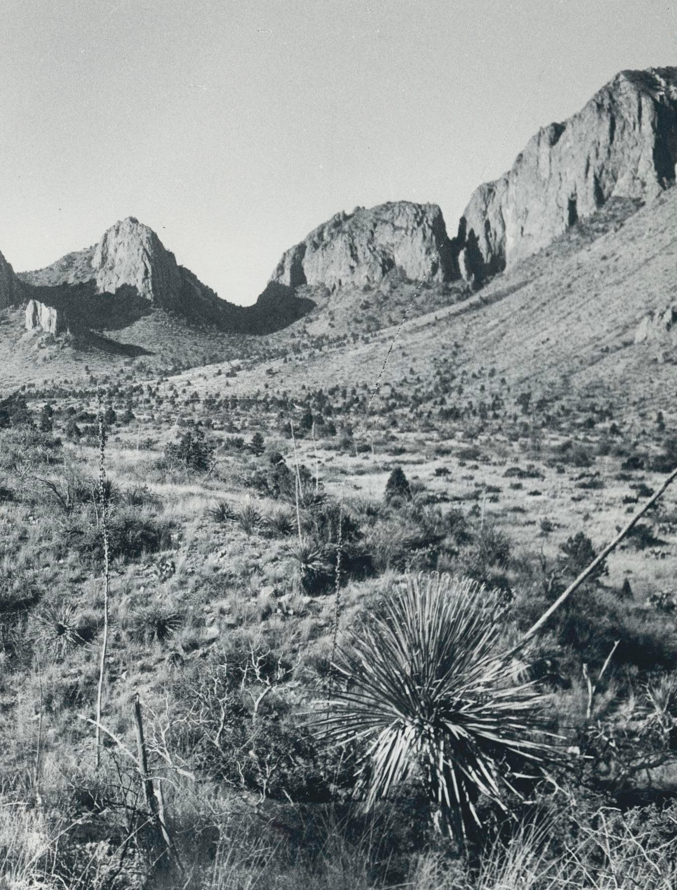 Big Bend Nationalpark, Texas, Black and White, USA 1960s, 16, 5 x 23, 2 cm - Modern Photograph by Erich Andres