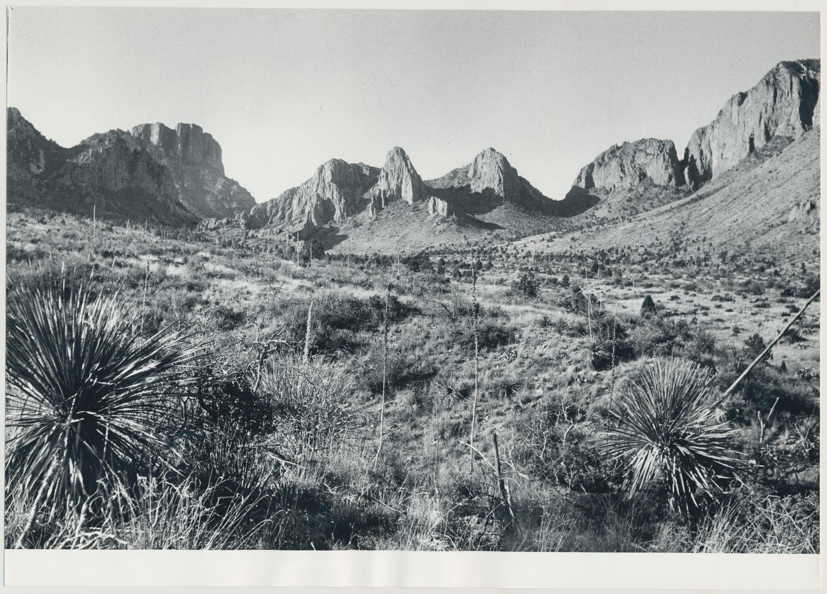 Erich Andres Black and White Photograph - Big Bend Nationalpark, Texas, Black and White, USA 1960s, 16, 5 x 23, 2 cm