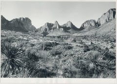 Big Bend Nationalpark, Texas, Black and White, USA 1960s, 16, 5 x 23, 2 cm