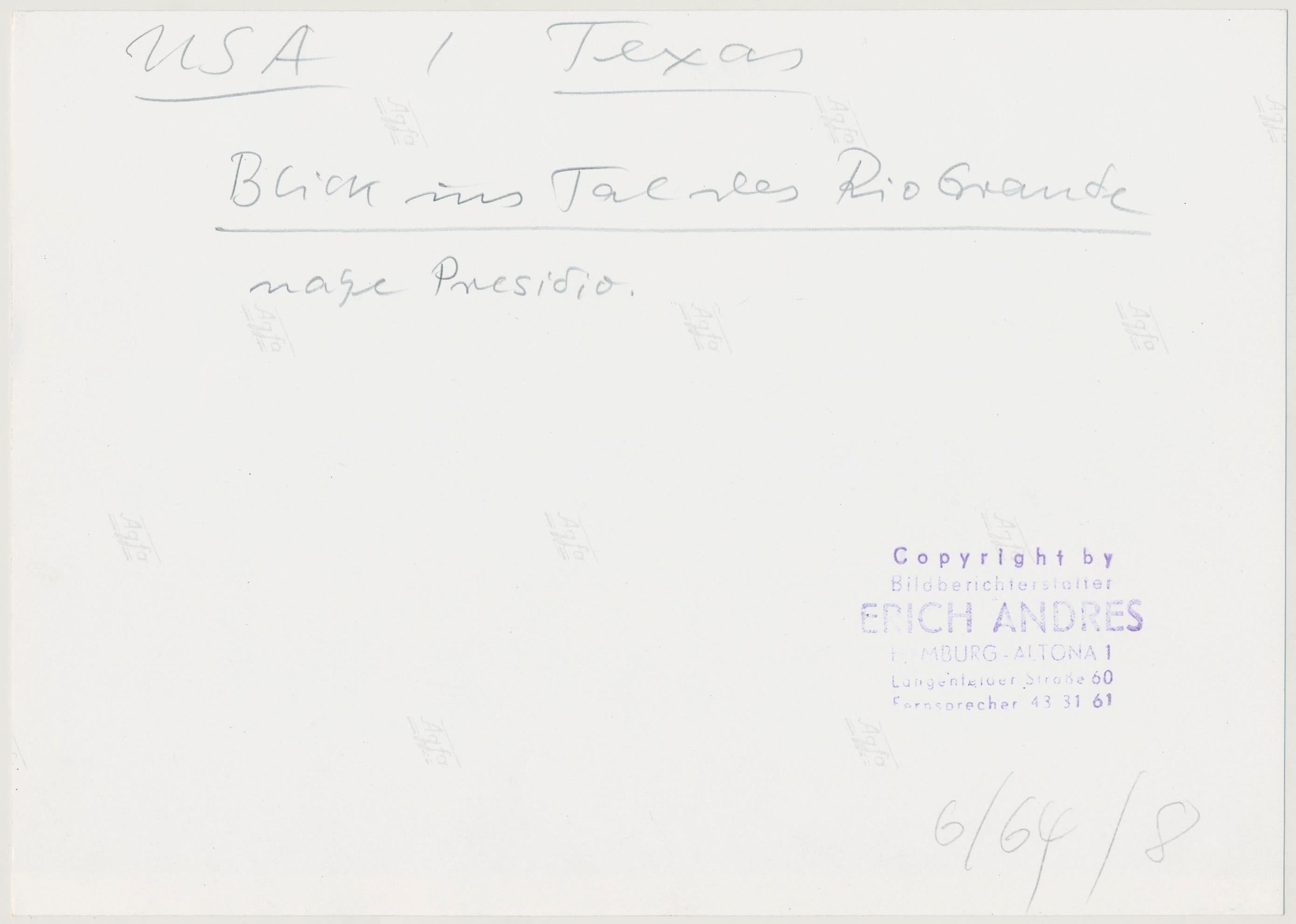 Cactus, Rio Grande, Bianco e nero, USA 1960, 16, 4 x 23, 1 cm - Black and White Photograph Nero di Erich Andres