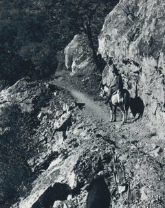 Cowboys on Horses, Black and White Photography, USA 1960s, 17, 7 x 23, 3 cm