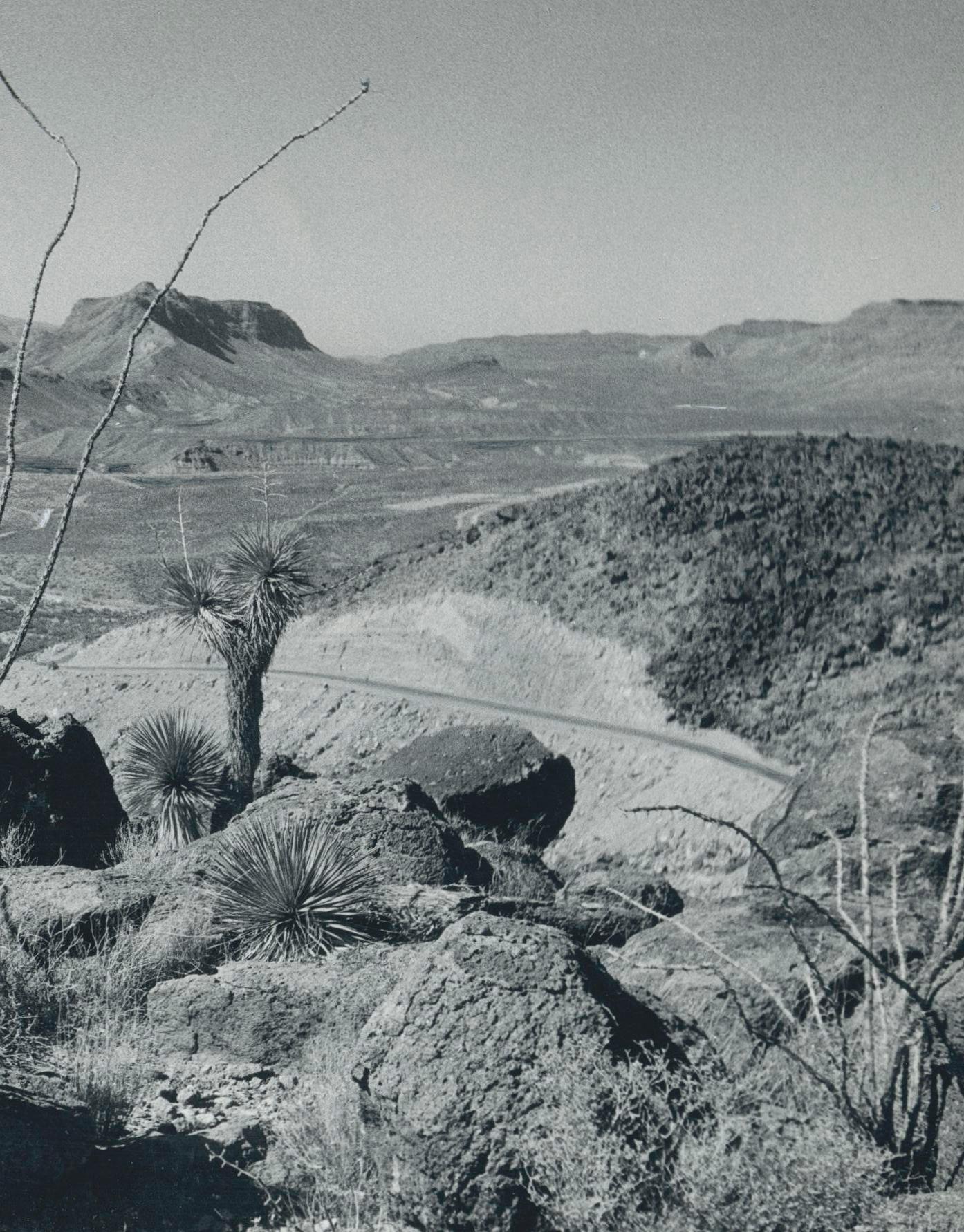 Cacti, Landscape, Rio Grande, Black and White, USA 1960s, 16, 7 x 23, 2 cm - Modern Photograph by Erich Andres