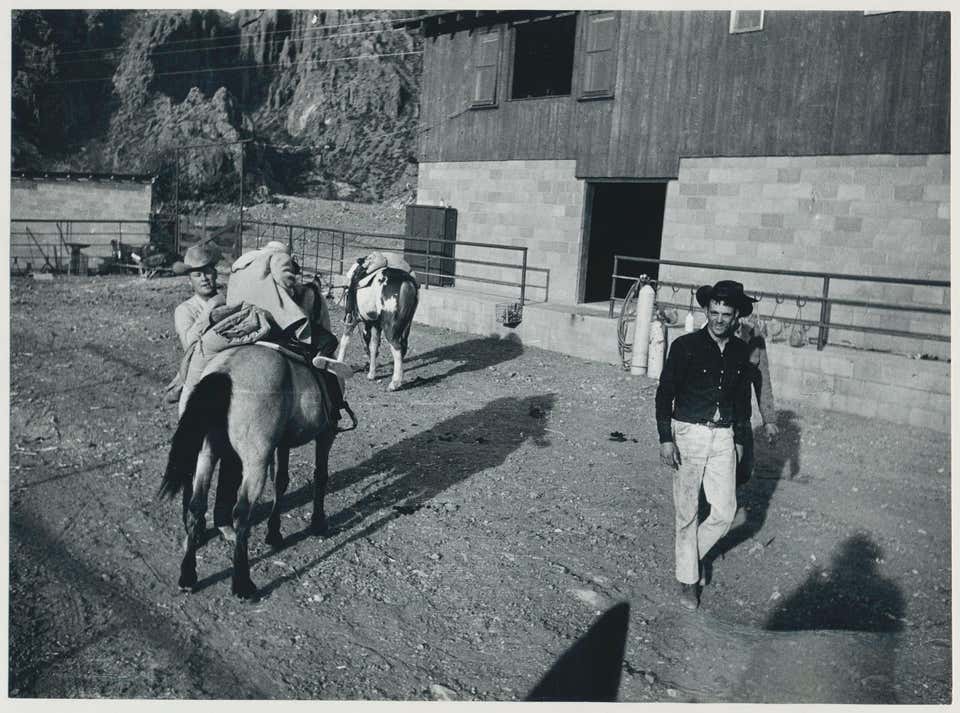 Adam Jahiel - Part of His String, YP Ranch, Nevada For Sale at 1stDibs