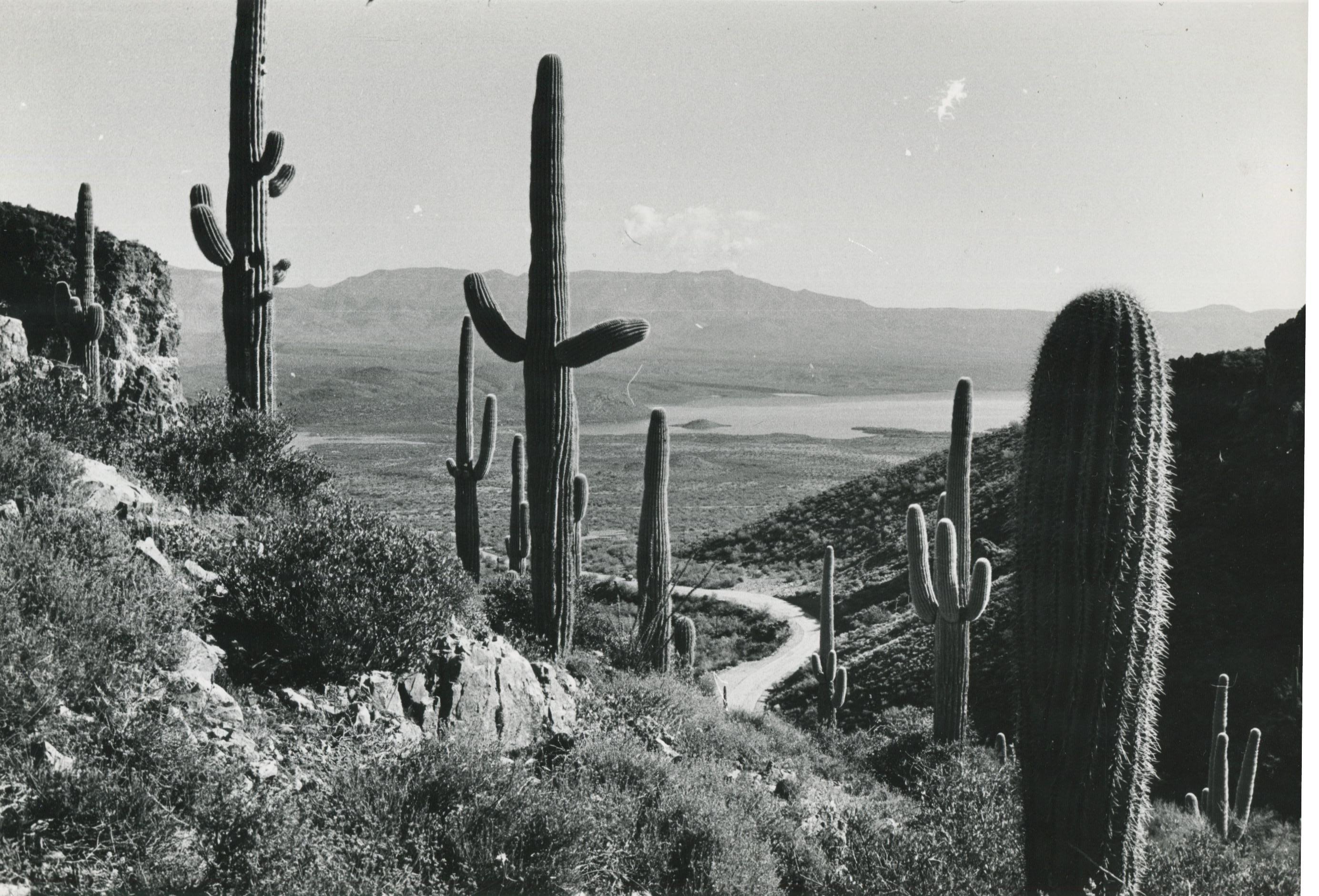 Erich Andres Black and White Photograph – Mojave-Wüste, Kalifornien, Schwarz und Weiß, USA 1960er Jahre, 16,0 x 23, 7 cm